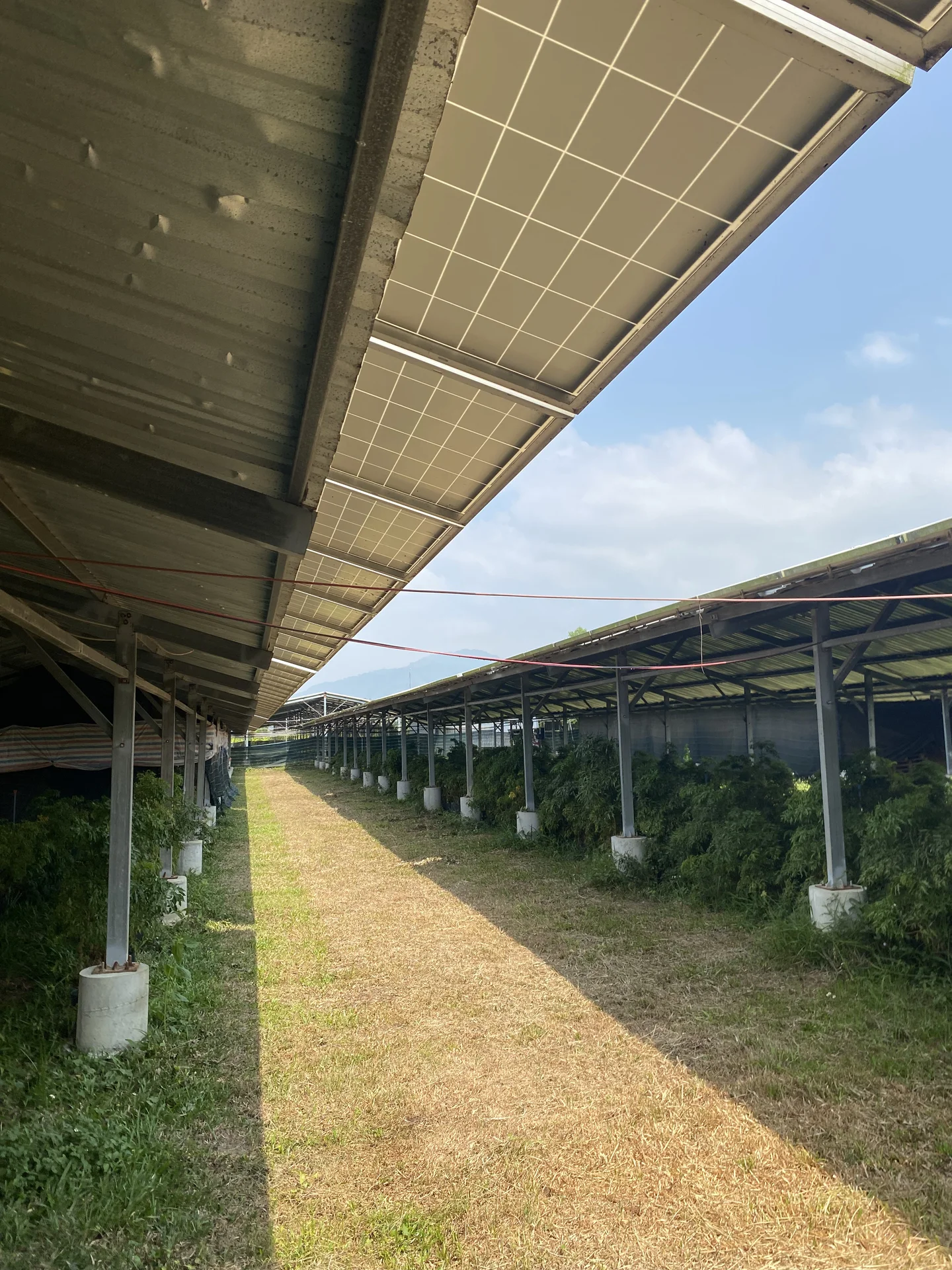 Nhật ký sửa lỗi Isolation Fault hệ Carport ven biển Vũng Tàu: Khắc phục sol khí muối gặm nhấm xước vỏ cáp DC