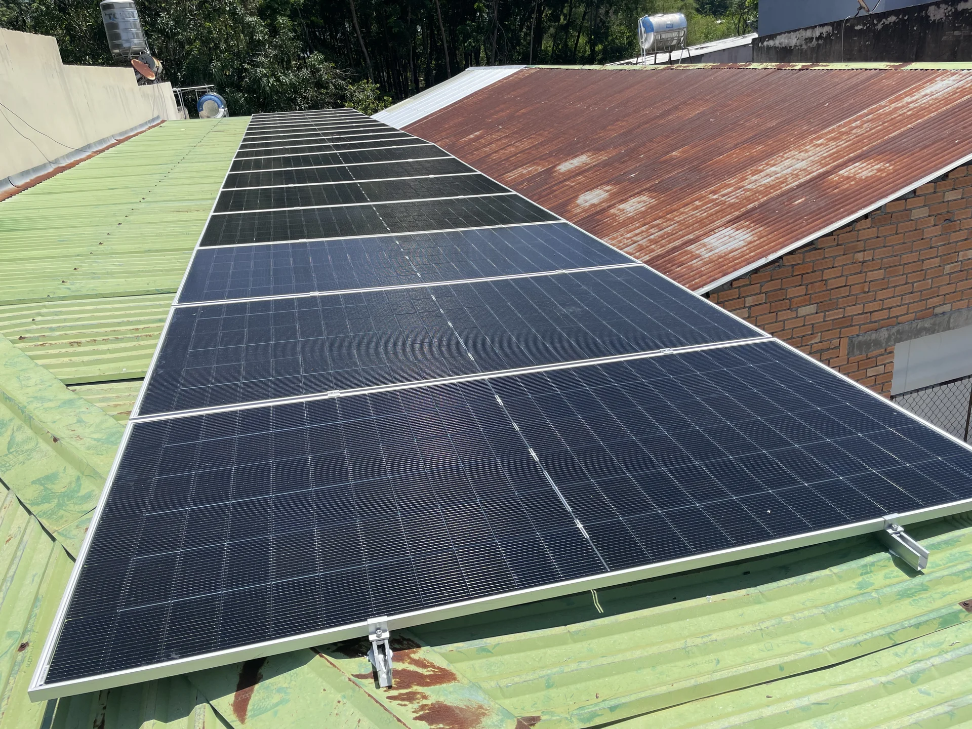 Nhật ký đại vệ sinh Solar Farm Đắk Lắk: Khử hỗn hợp sáp dẻo phấn hoa cà phê trộn đất đỏ bazan mùa khô