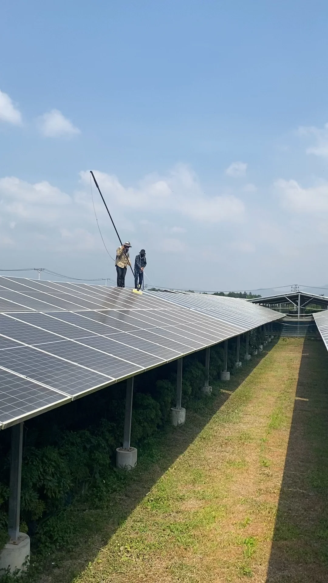 Solar Gia Lai mùa ép mía